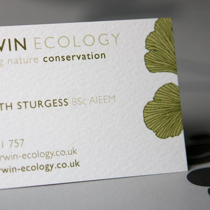 16 pt Heavy Aquarelle business card 16 pt Heavy Aquarelle business card
