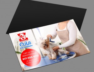 Magnetic Business Cards That Stick (And Actually Get You Calls)