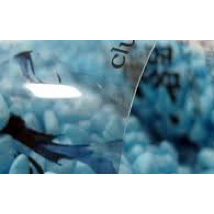 10 ml SPEED Plastic Promotional business card 10 ml SPEED Plastic Promotional business card